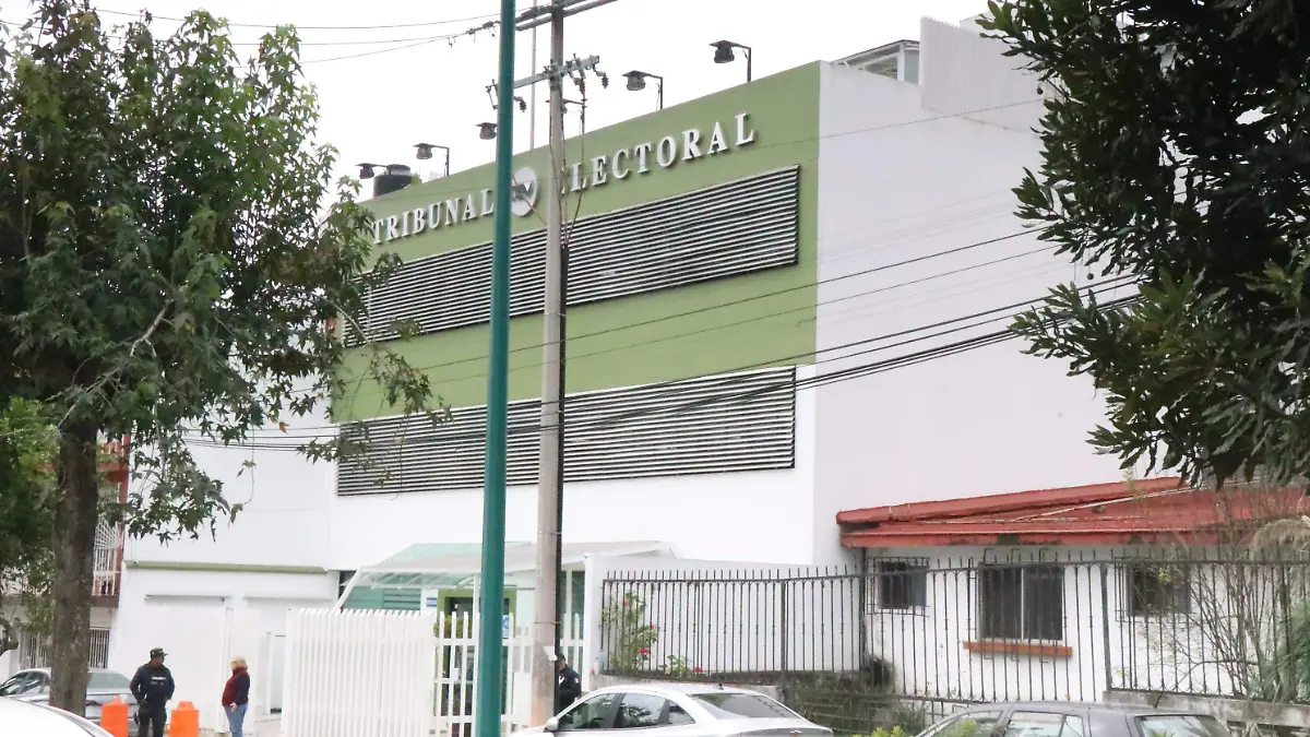 dsvid- Tribunal Estatal Electoral 1